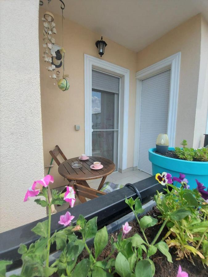 Paula Apartment Dumbravita  Exterior photo